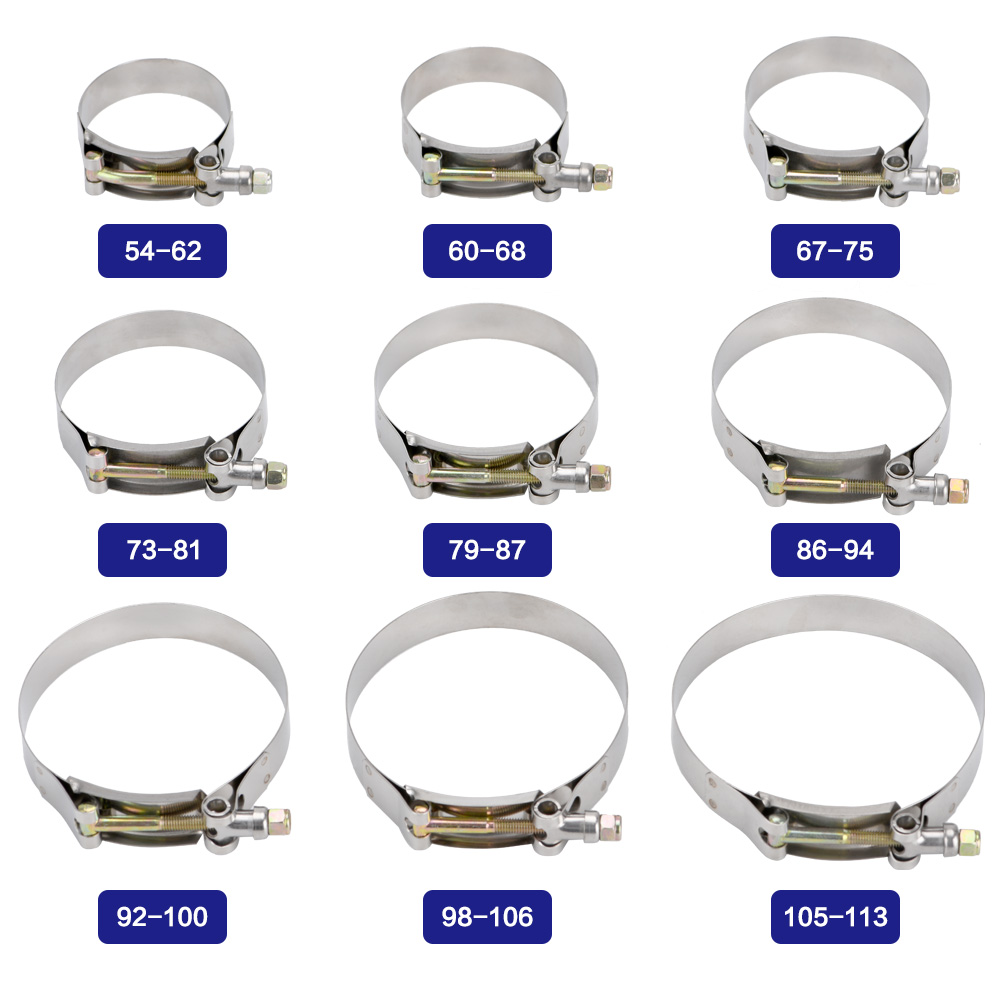 LIZHI - (2 adet/grup) kelepçel - T-Bolt Hose Clamps Stainless Steel Turbo incelemesi ve fiyatı